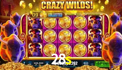 Ofertas Exclusivas 28s